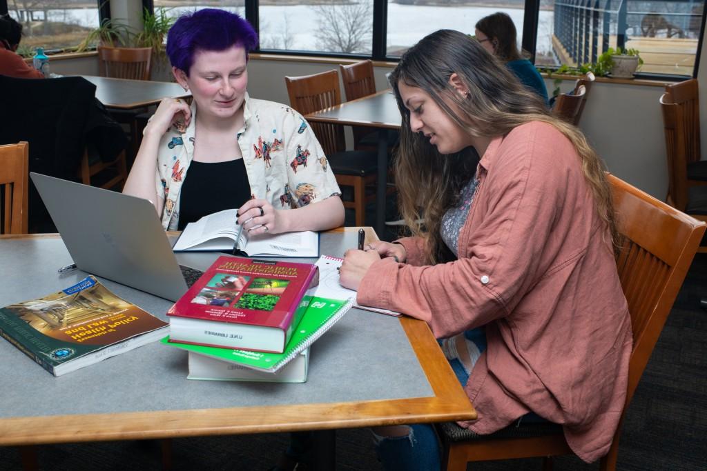 两个大学生一起学习，带着一摞课本和一台笔记本电脑