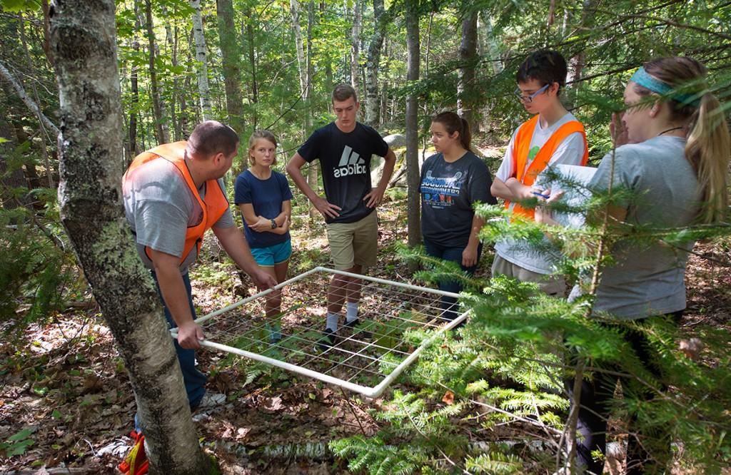 Five students prepare to do fieldwork in a forest off the Biddeford campus