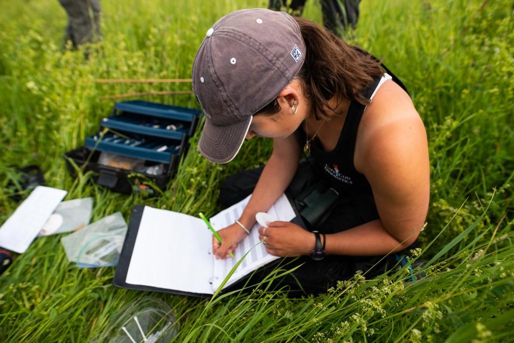 An Environmental Studies student sits in tall grass and takes notes while doing fieldwork