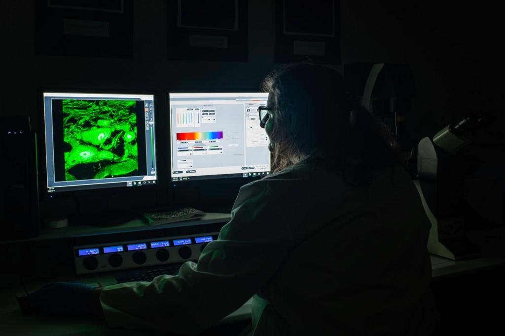 一名学生在电脑屏幕上查看神经元的显微图像