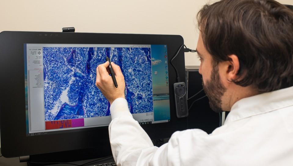 A student reviews a histology image on their computer screen